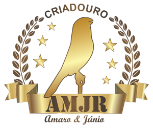 Criadouro AM JR - Curió Praia Clássico - Serra/ES